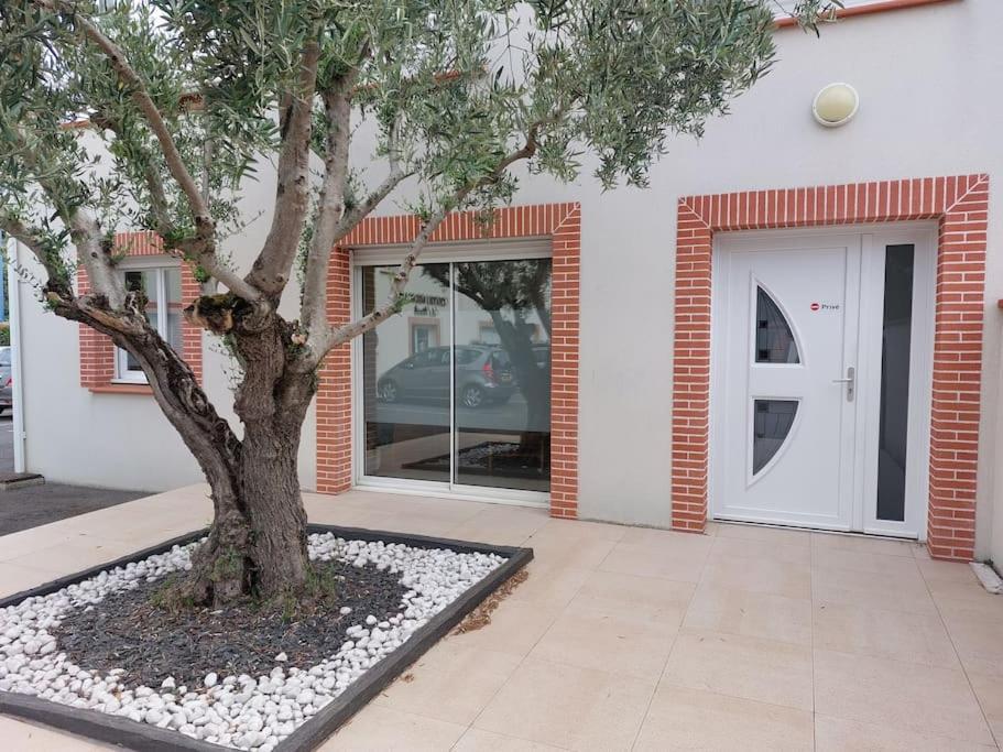 T3 Climatise, Parking Et Jardin Quartier Des Marots A Colomiers Apartment Exterior photo