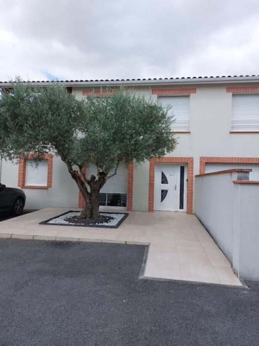 T3 Climatise, Parking Et Jardin Quartier Des Marots A Colomiers Apartment Exterior photo